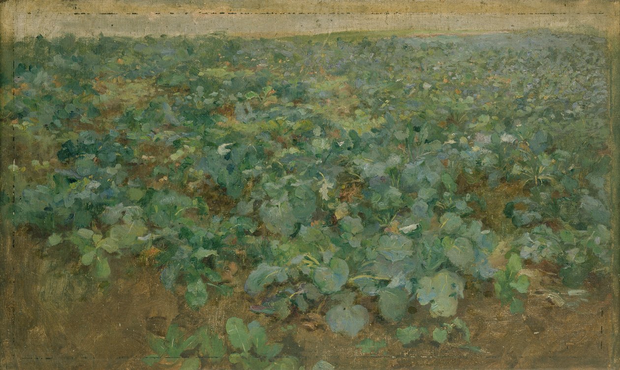 El campo de nabos de William Edward Stott