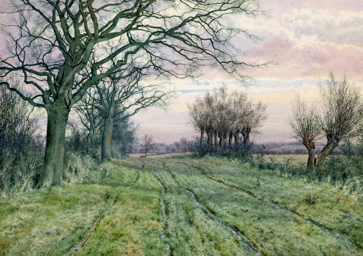 Un camino en Fenland con sauces podados, 1887 de William Fraser Garden