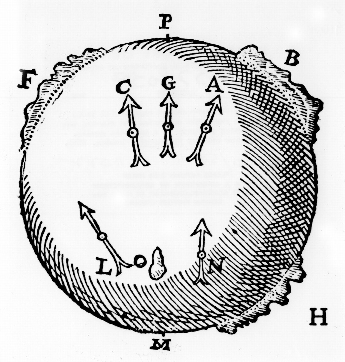 Una terrella o imán en forma de globo con bultos de hierro para representar montañas y mostrar la propiedad de orientación norte de una aguja magnética. De William Gilbert De Magnete, Londres, 1600 de William Gilbert