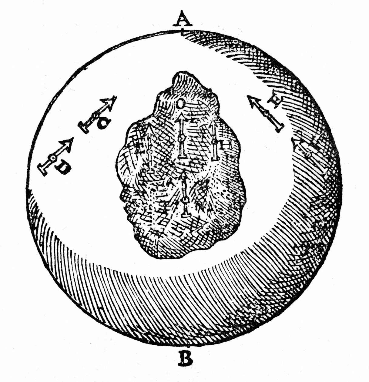 Agujas magnéticas en una terrella apuntarán hacia el polo norte, otras agujas harán lo mismo, incluso si la superficie de la terrella es desigual, como en O. De William Gilbert De Magnete, Londres de William Gilbert