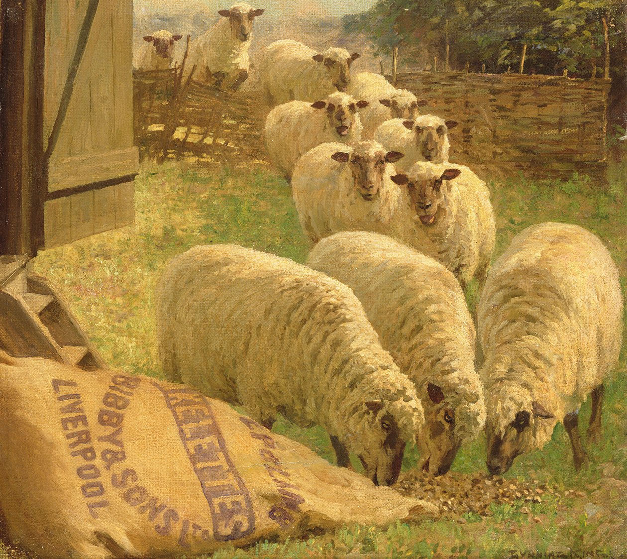 Ovejas alimentándose de una bolsa de grano volcada de William Gunning King