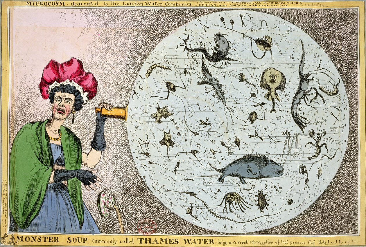Microcosmos dedicado a las Compañías de Agua de Londres: Sopa monstruosa comúnmente llamada Agua del Támesis, siendo una representación correcta de esa preciosa sustancia repartida a nosotros!!!, grabado y publicado en 1828 de William Heath