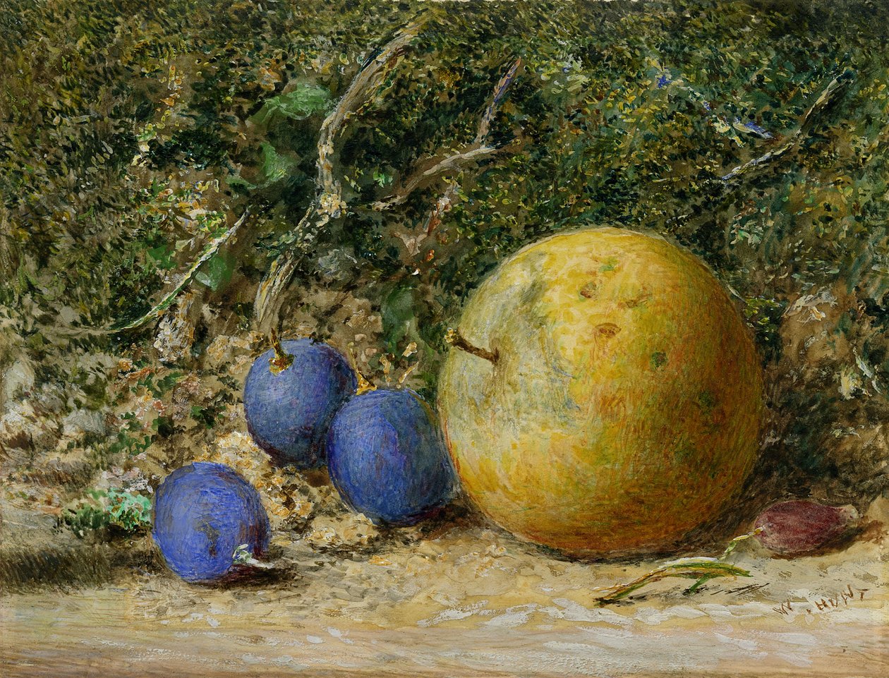 Tres Uvas y una Manzana de William Henry Hunt