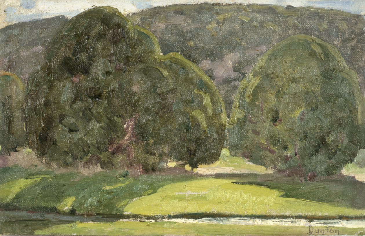 Luz del Sol y Cedros, c.1933 de William Herbert Buck Dunton
