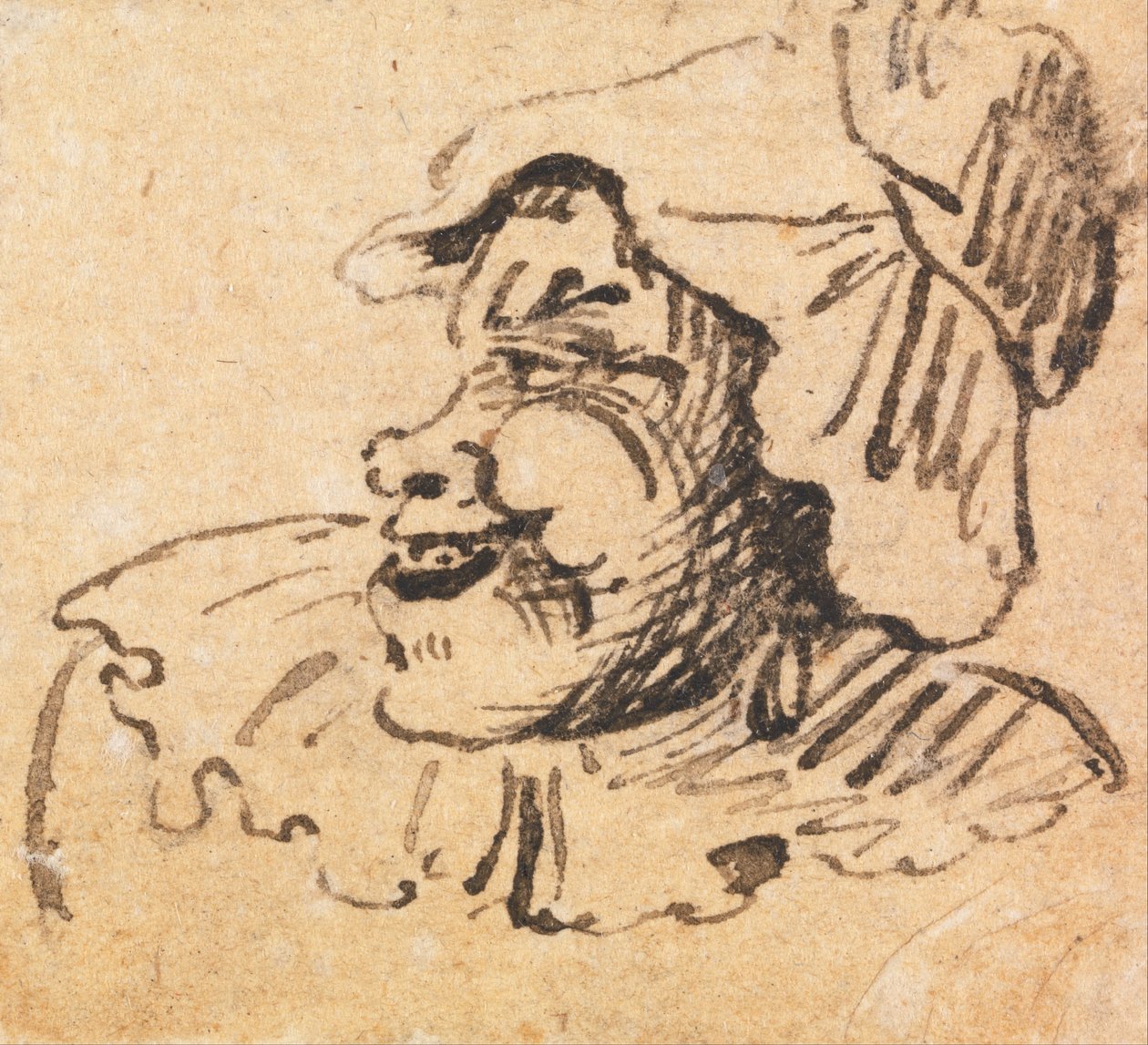 Cabeza masculina grotesca de William Hogarth