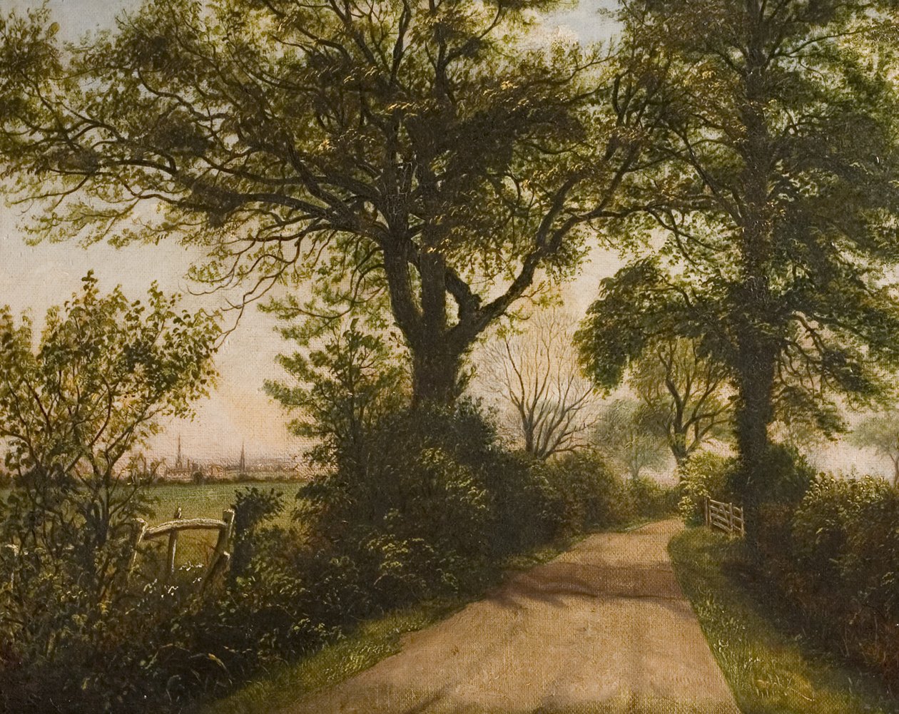 Vista distante de Coventry, finales del siglo XIX de William Howard Reeve