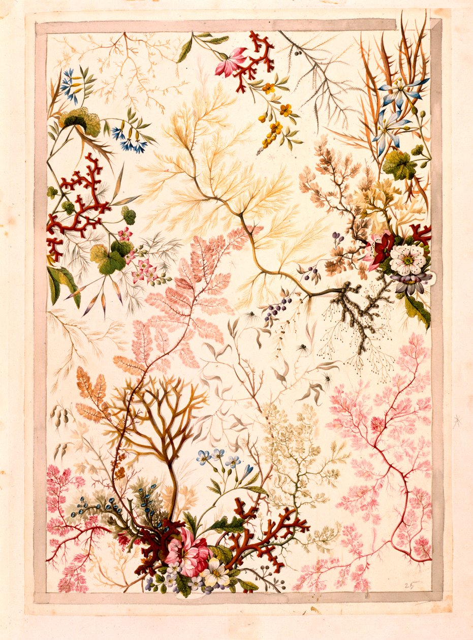 Papel de mármol de William Kilburn