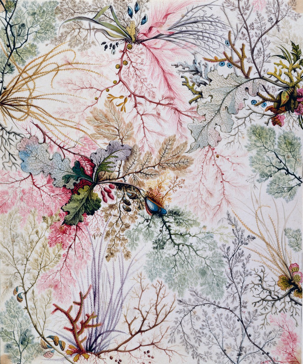 Diseño textil, c.1788-92 de William Kilburn