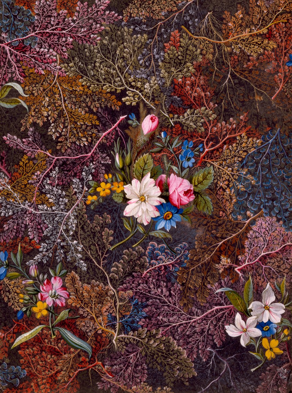 Diseño textil, c.1788-92 de William Kilburn