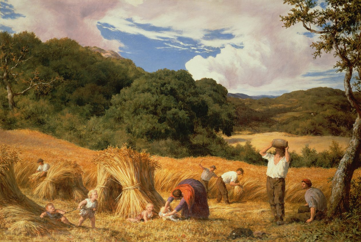 Campo de maíz en Surrey, 1860 de William Linnell