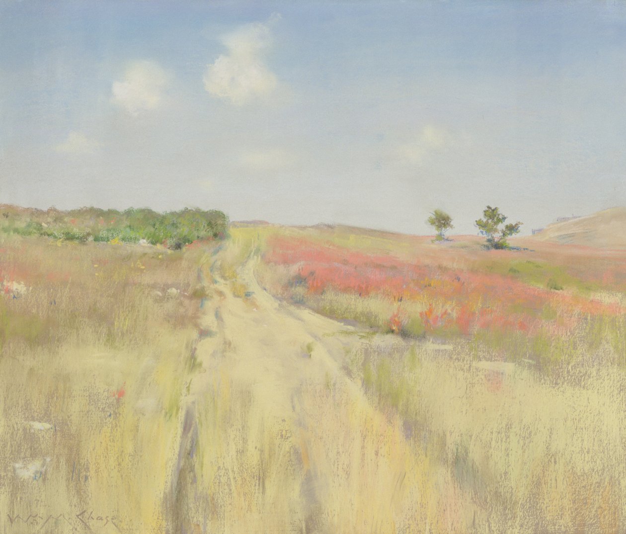 Shinnecock Hills de William Merritt Chase