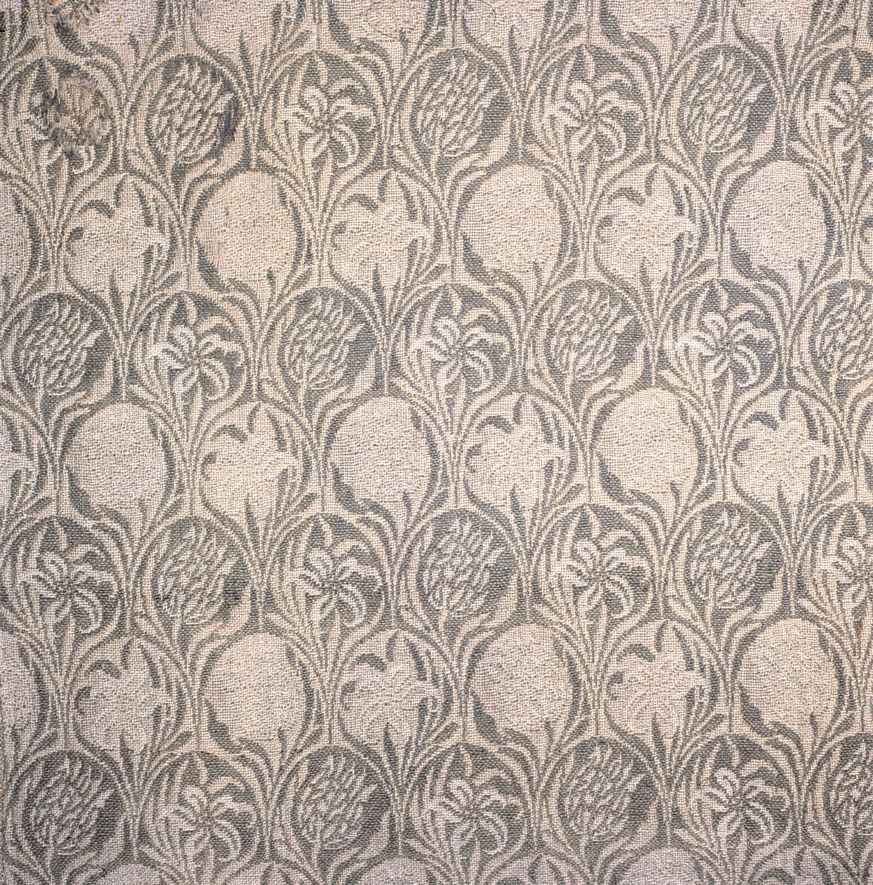Fragmento de cortina, diseño de tulipanes y lirios de William Morris