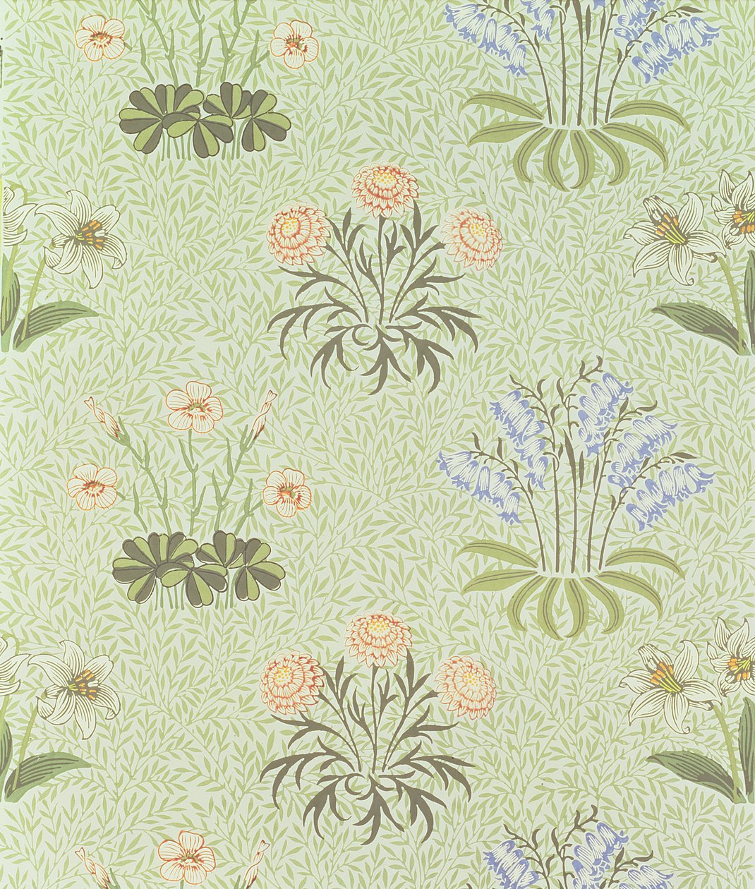 Diseño de papel tapiz de margaritas con lirio del valle y otras flores silvestres sobre un fondo 