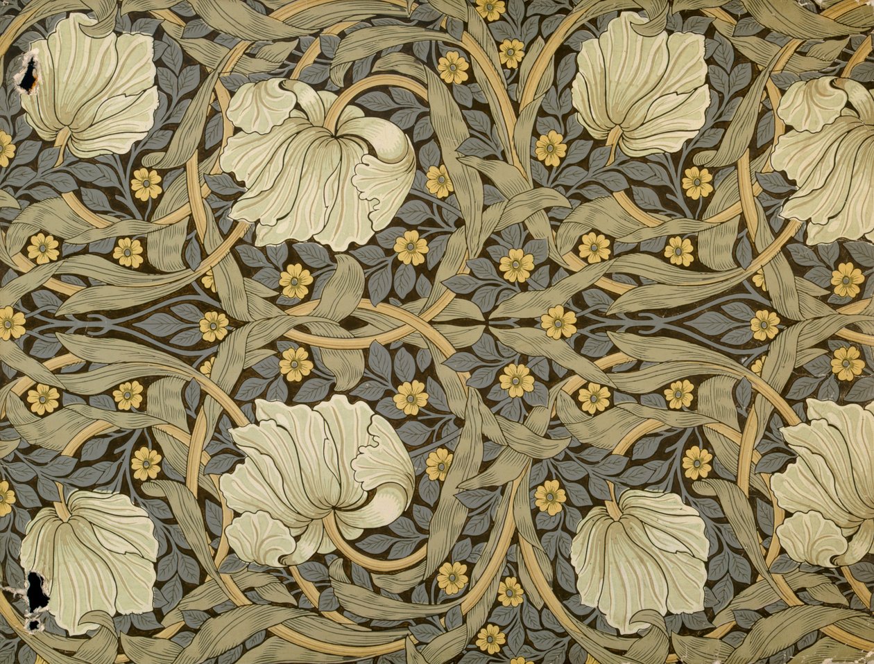 Pimpernell, diseño para papel tapiz, 1876 de William Morris