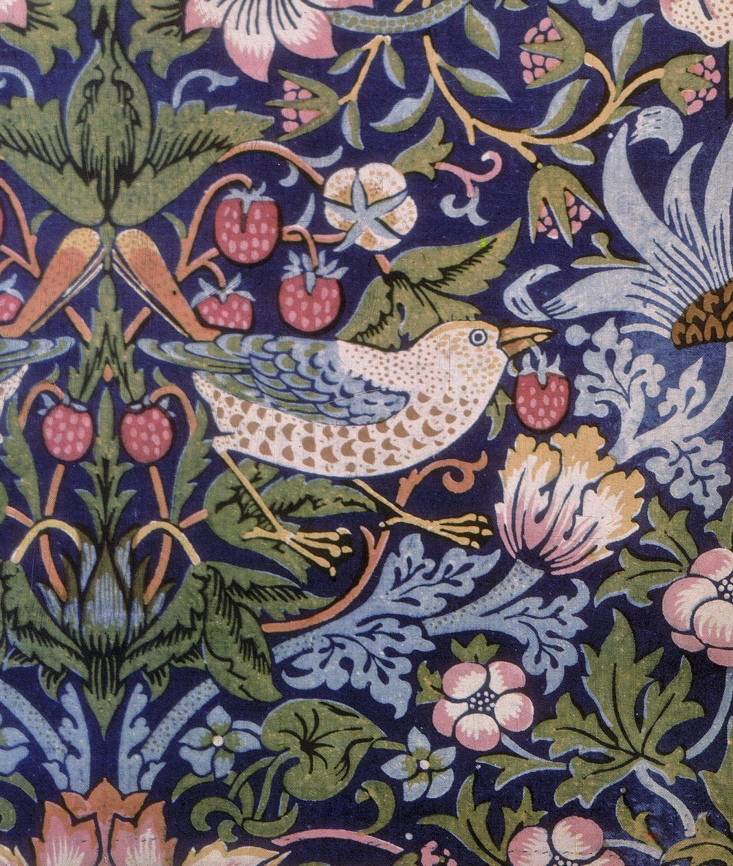 Ladrón de fresas cortina, 1883 de William Morris