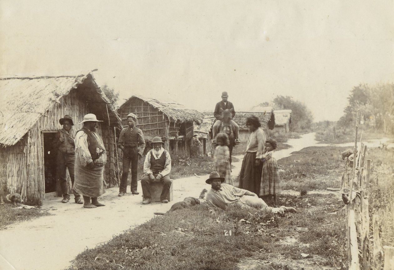 Kaiwhaiki pa, Upokongaro, c.1895 de William Partington