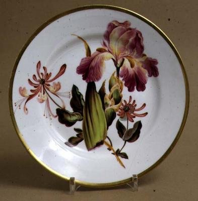 Plato de Postre de Derby decorado con iris y madreselva, c.1795 de William Quaker attributed to Pegg