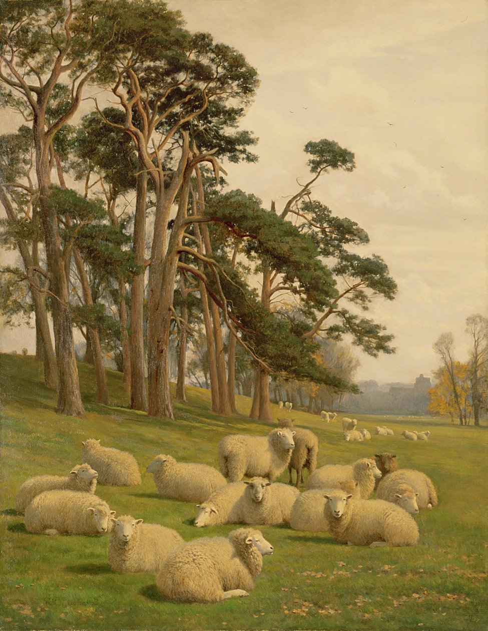 Pastos iluminados por el sol de William Sidney Cooper