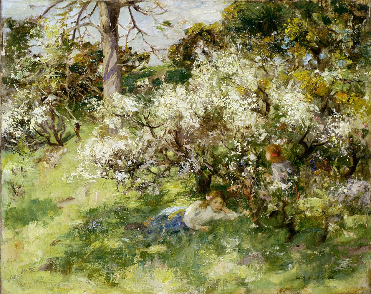Flor de Endrino de William Stewart MacGeorge