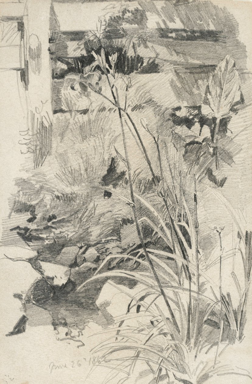 Lirios de día junto a una cerca de madera, 1862 de William Trost Richards