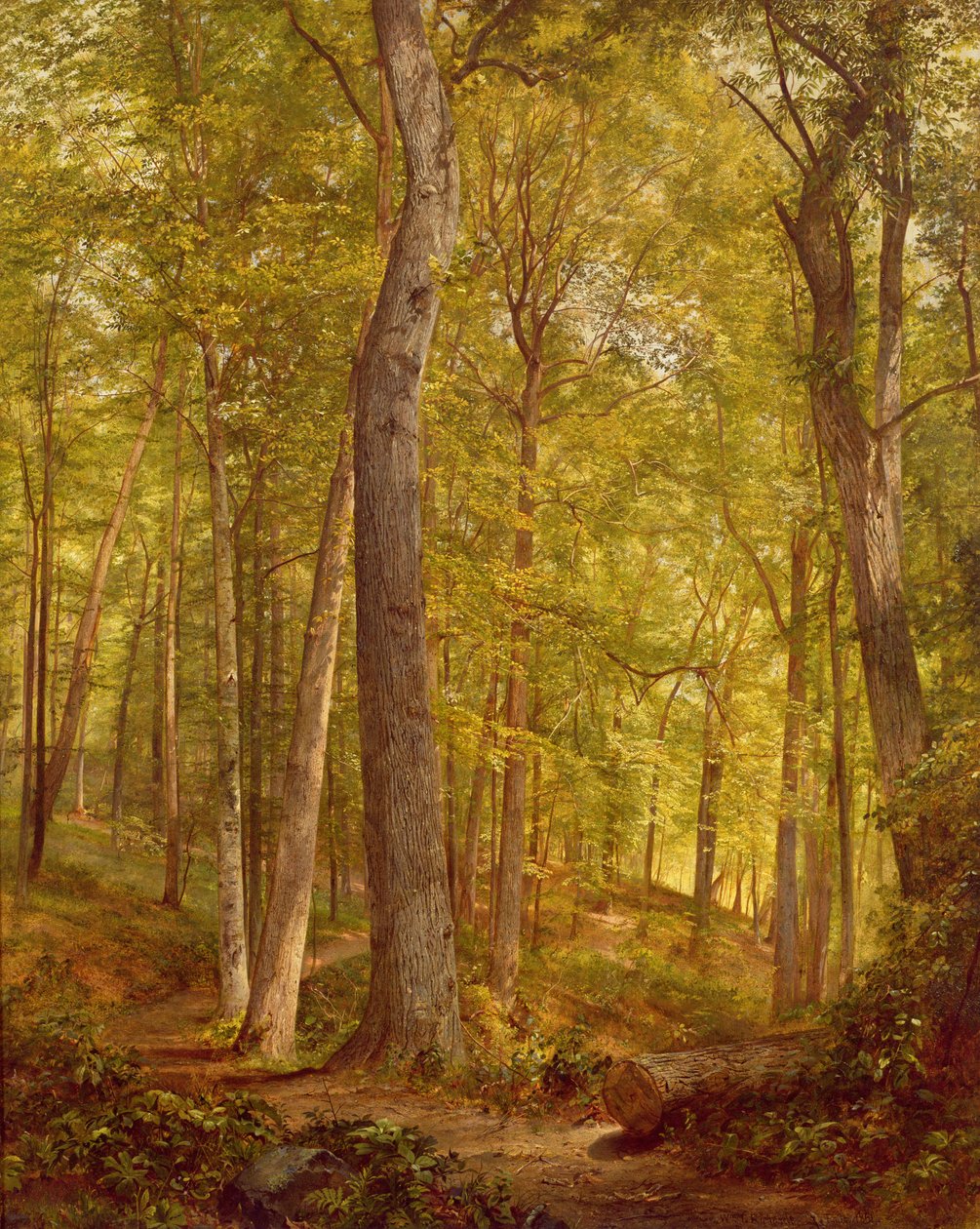 Bosques de junio, Pensilvania, 1864 de William Trost Richards