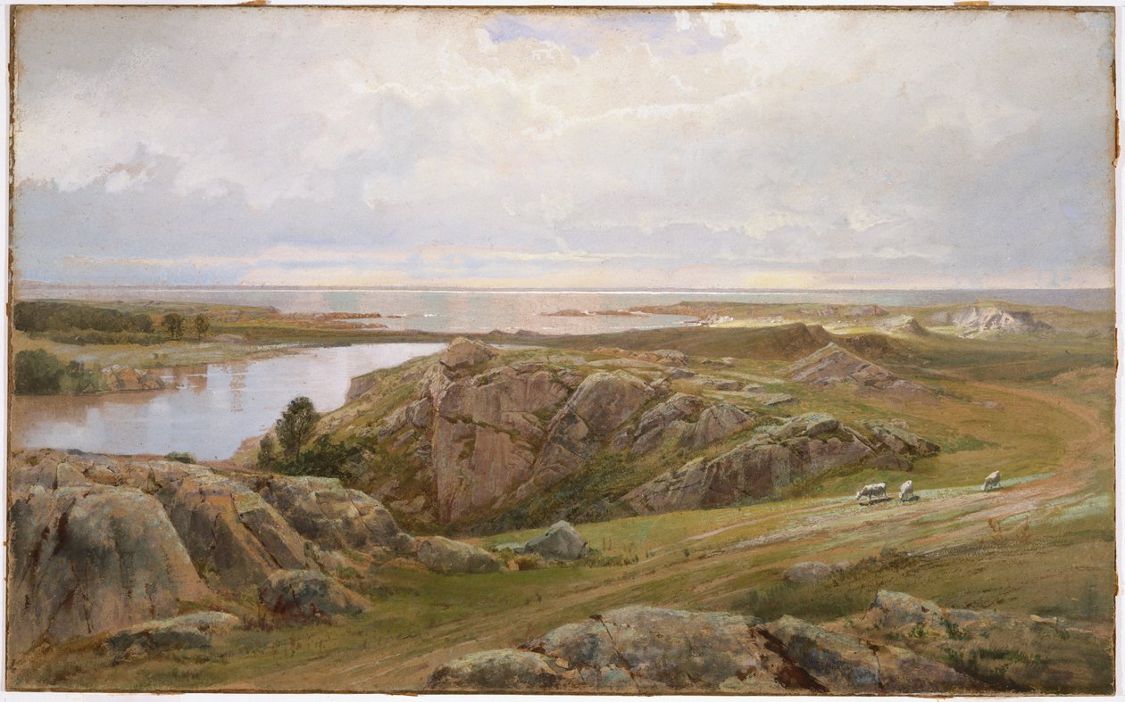 Estanque de lirios, Newport, 1877 de William Trost Richards