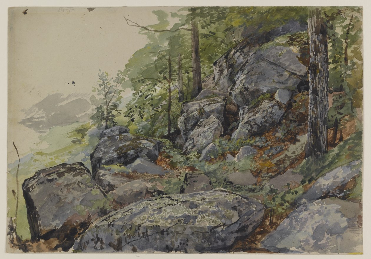 Rocas en el bosque, c.1877-78 de William Trost Richards