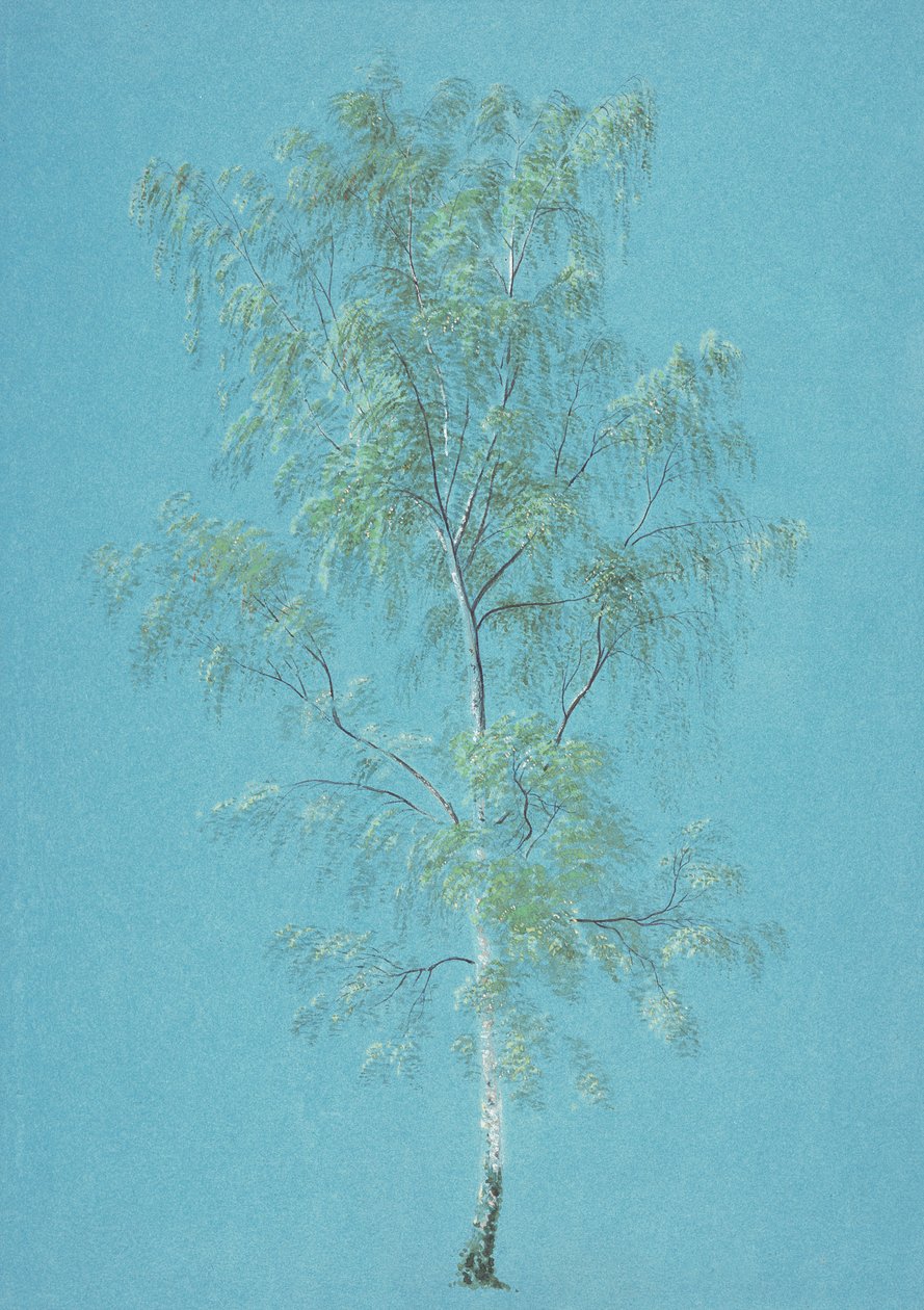 Árbol de Abedul de Joseph Mallord William Turner