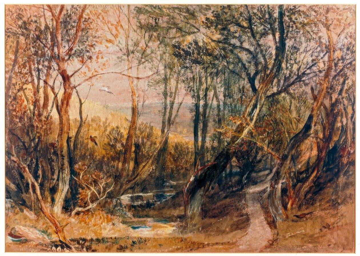 Escena del bosque de Joseph Mallord William Turner