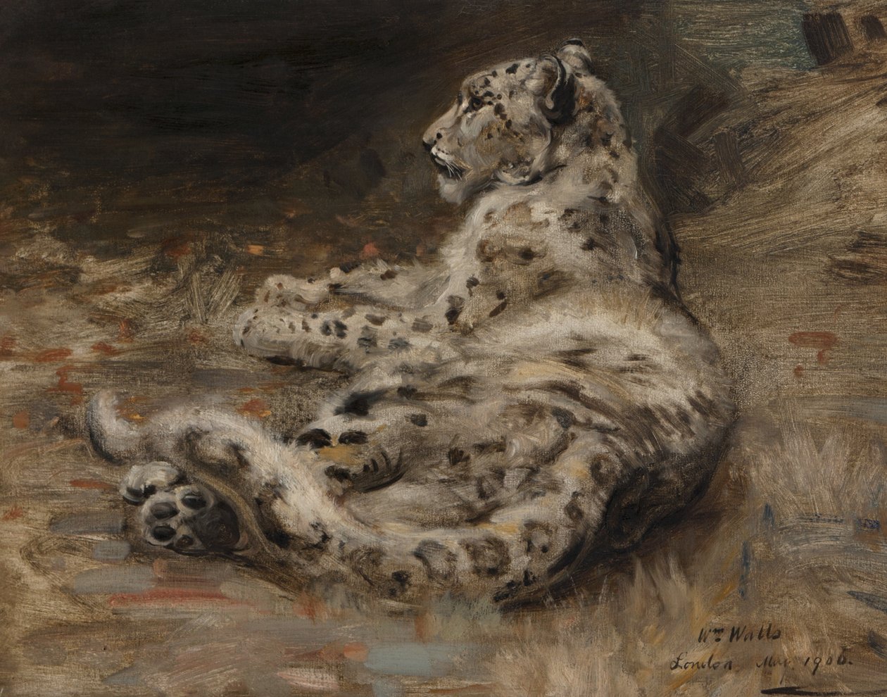 Un leopardo, 1906 de William Walls