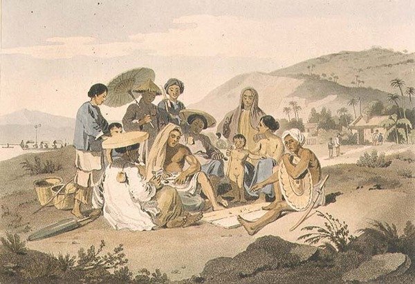 Un Grupo de Cochinchinos, lámina 14 de 