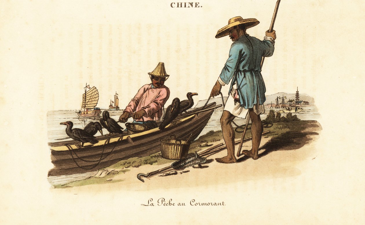Pescadores chinos y sus cormoranes de William (after) Alexander