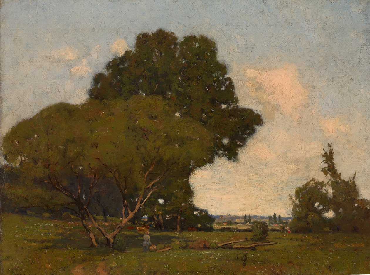 Los árboles, temprano en la tarde, Francia de William A. Harper