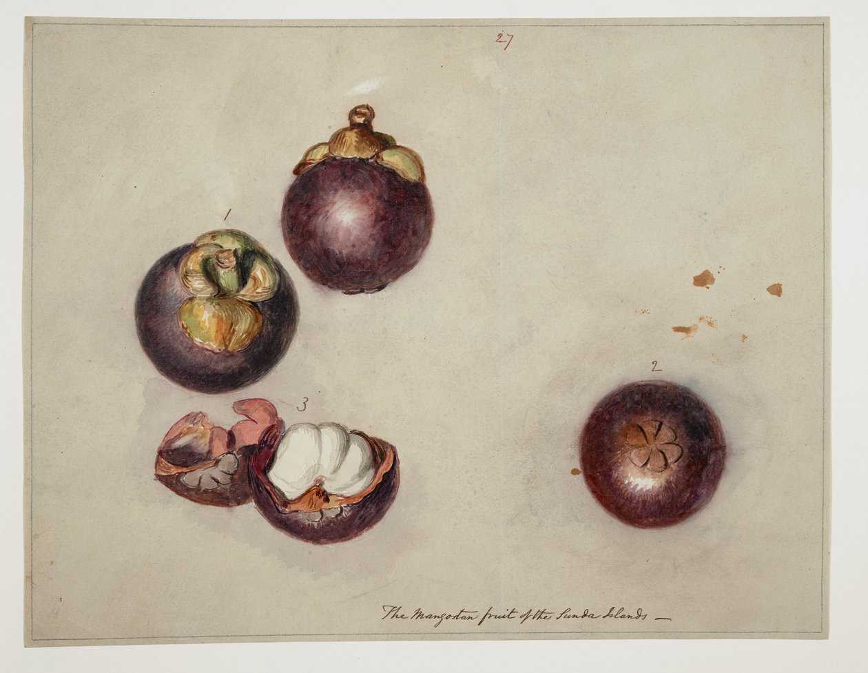 WD 961 f.27 de William Alexander