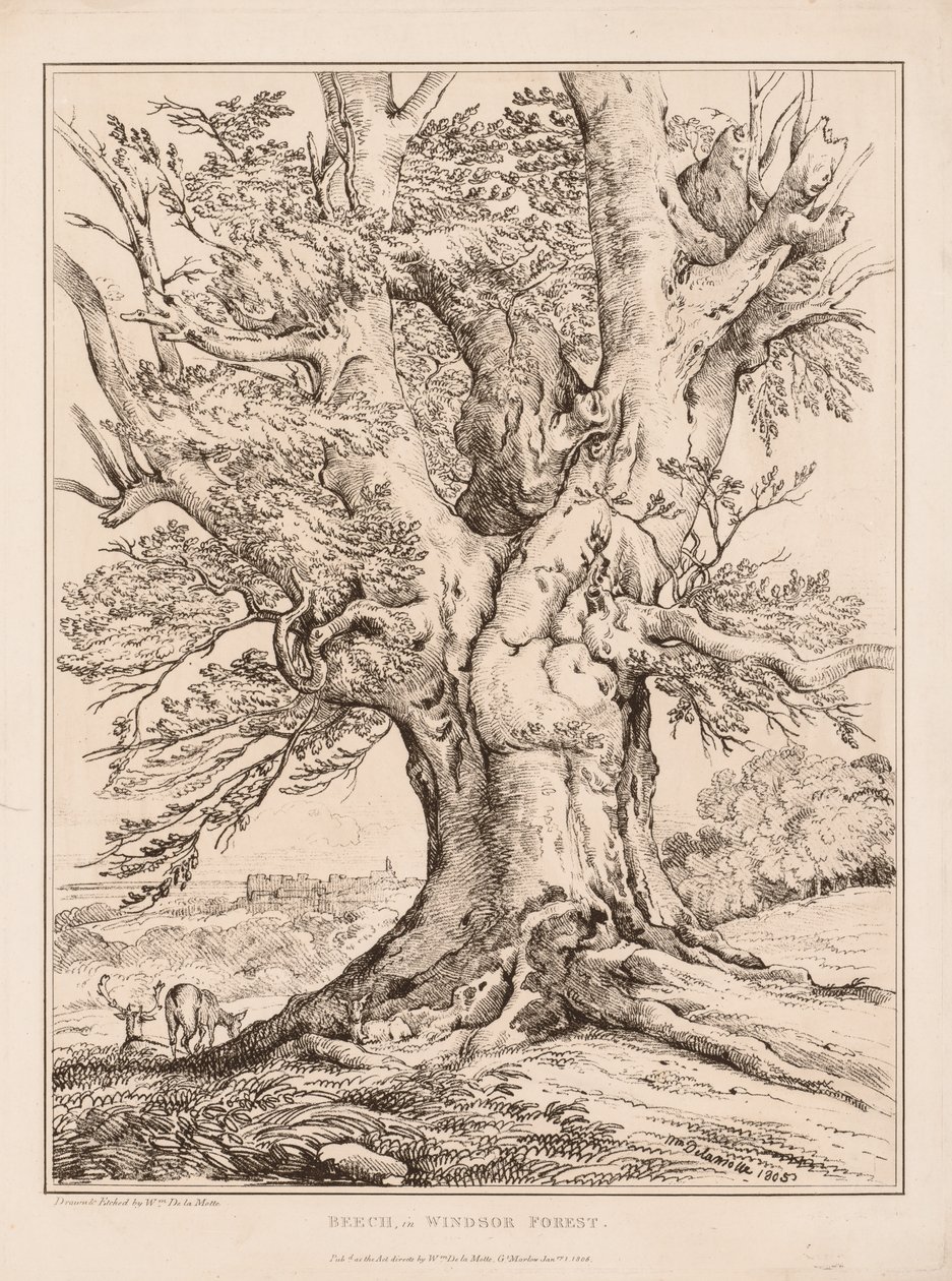 Haya en el Bosque de Windsor, 1805 de William Alfred Delamotte