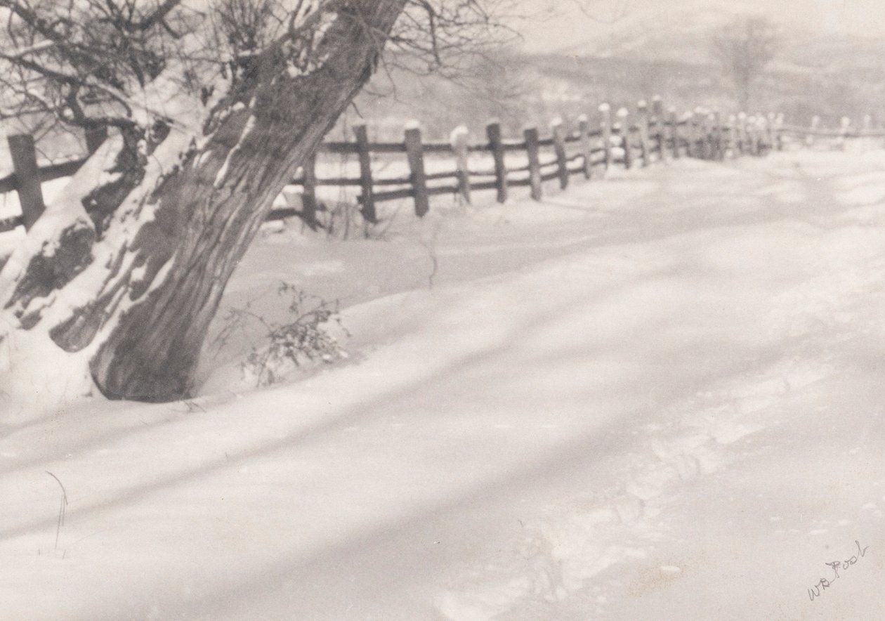 Sendero en la nieve de William B. Post