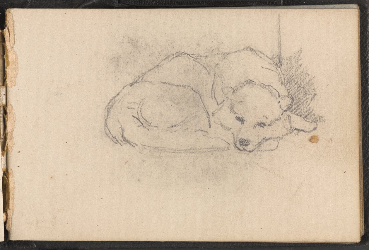 Boceto de un perro durmiendo, 1879 circa de William Barnes Wollen