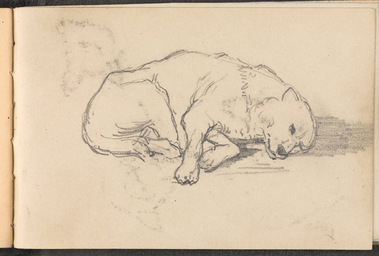 Boceto de un perro durmiendo, 1879 circa de William Barnes Wollen