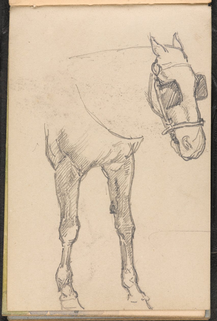 Boceto de caballo con anteojeras, 1879 circa de William Barnes Wollen