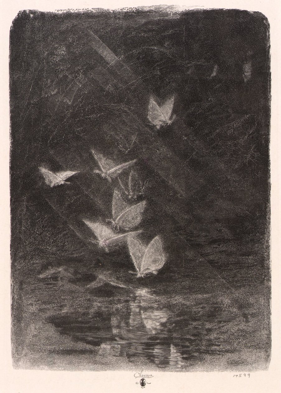 Polillas nocturnas de William Baxter Closson