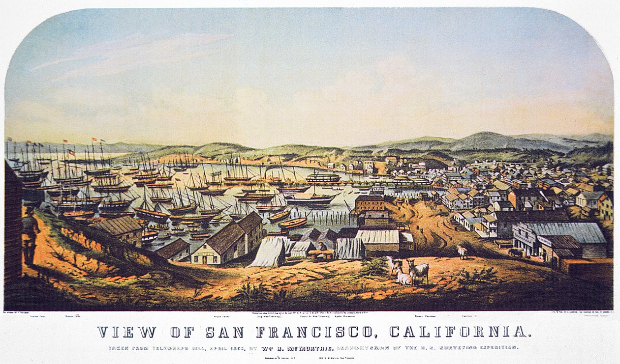 Vista de San Francisco, California, desde Telegraph Hill, abril de 1850 de William Birch McMurtrie