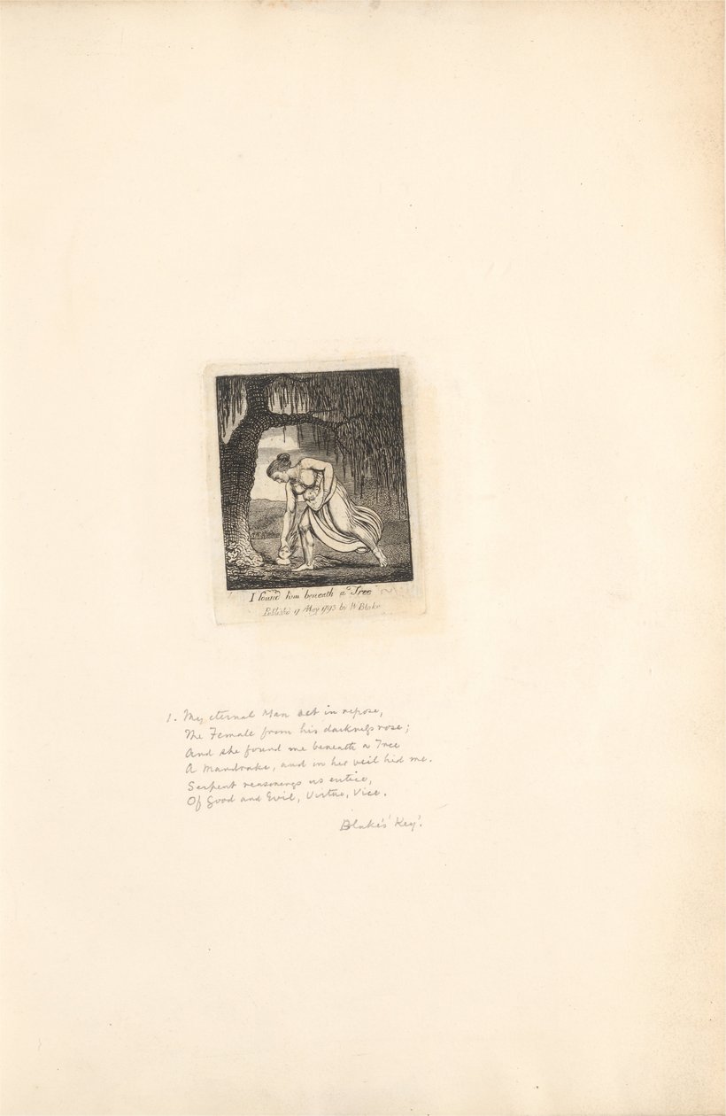 Para los Sexos - Las Puertas del Paraíso, Lámina 3, Lo encontré bajo un Árbol de William Blake