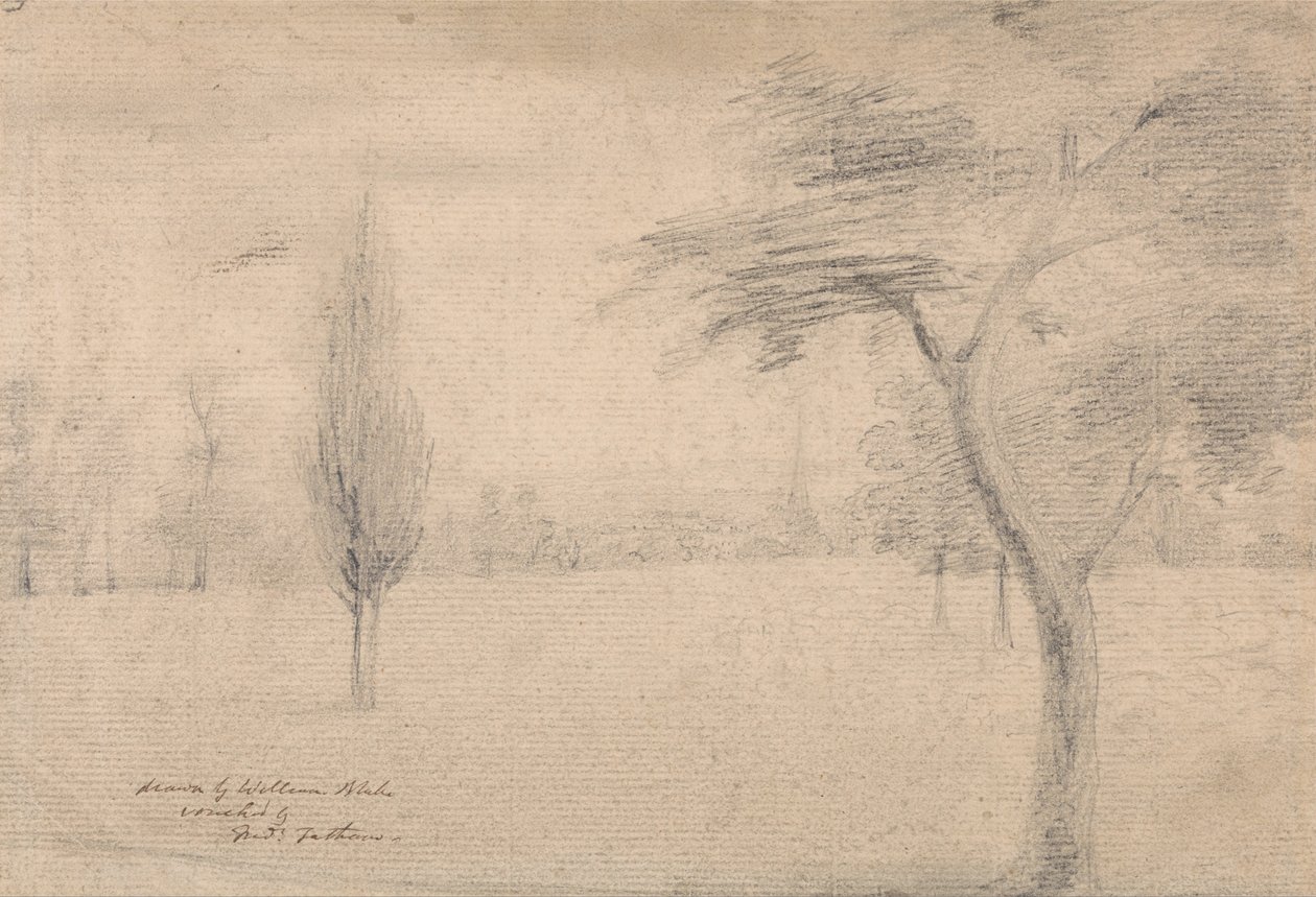 Paisaje con Aguja de William Blake