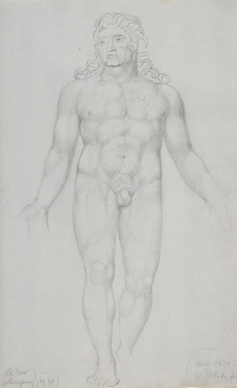 Viejo Parr Cuando Joven, 1820 de William Blake