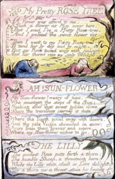 Mi Hermosa Rosa; ¡Ah! Girasol; El Lirio: lámina 44 de 