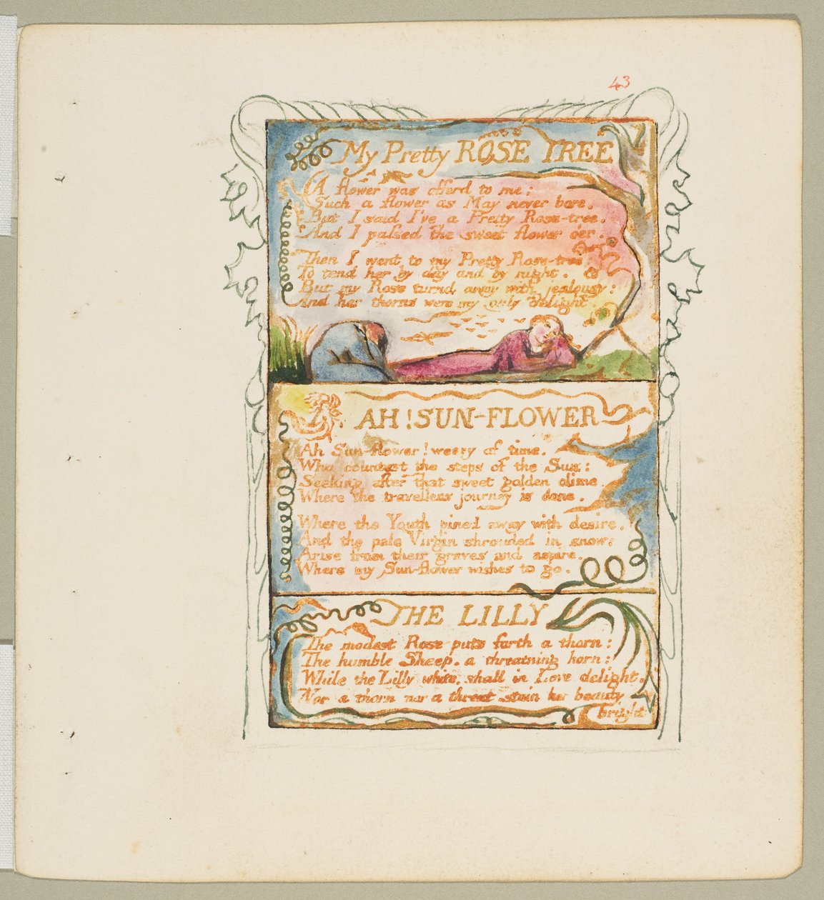 Canciones de Inocencia y de Experiencia: Mi bonito rosal, ¡Ah! Girasol, El lirio, ca. 1825 de William Blake