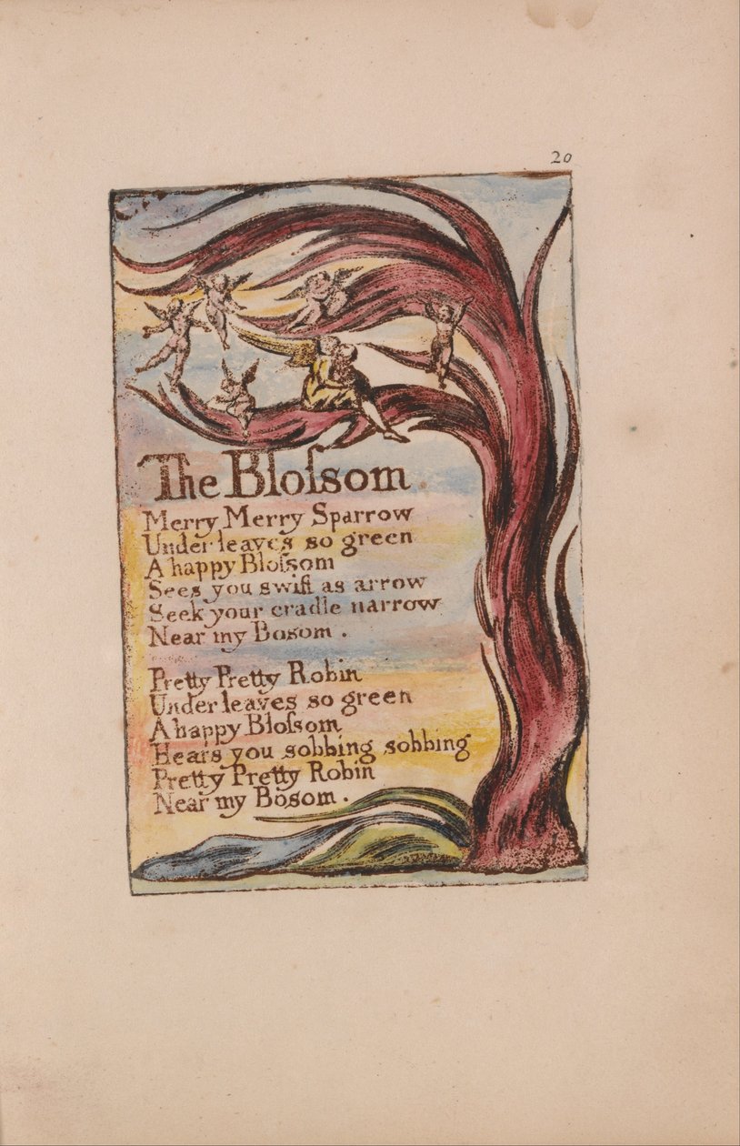 Canciones de Inocencia y de Experiencia, Placa 20, La Flor (Bentley 11) de William Blake
