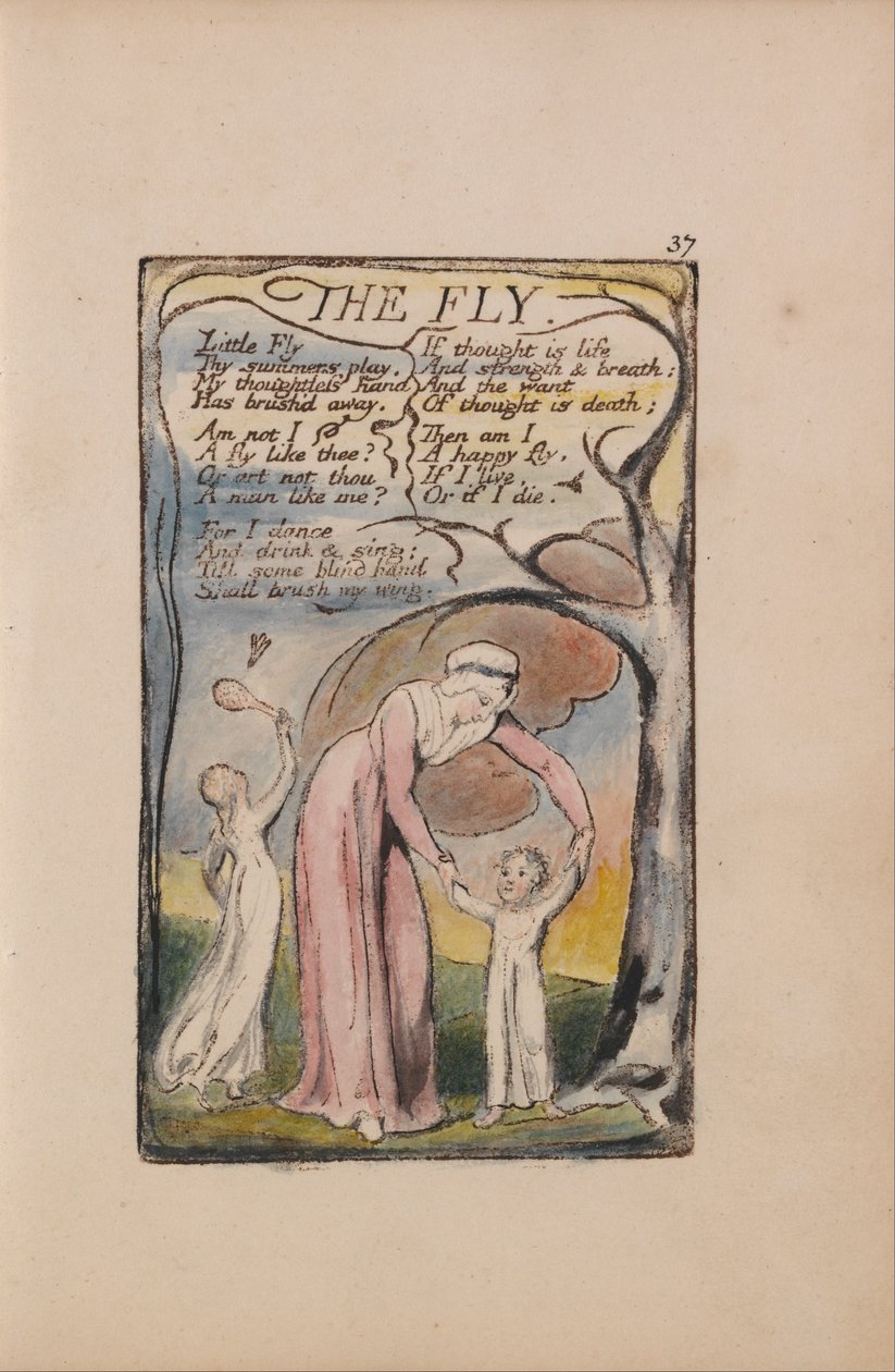 Canciones de Inocencia y de Experiencia, Lámina 37, La Mosca (Bentley 40) de William Blake