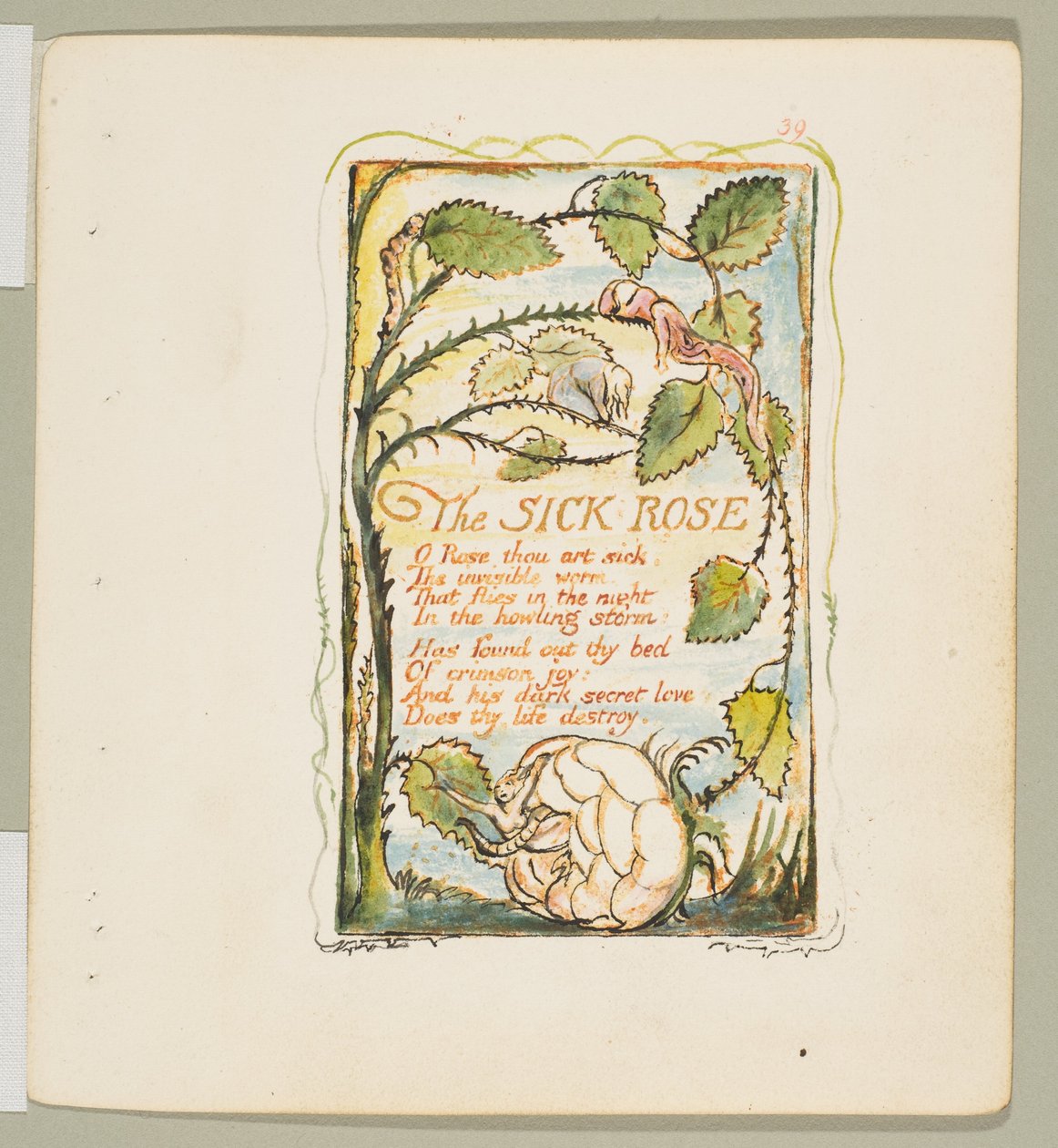 Canciones de Inocencia y de Experiencia: La Rosa Enferma de William Blake