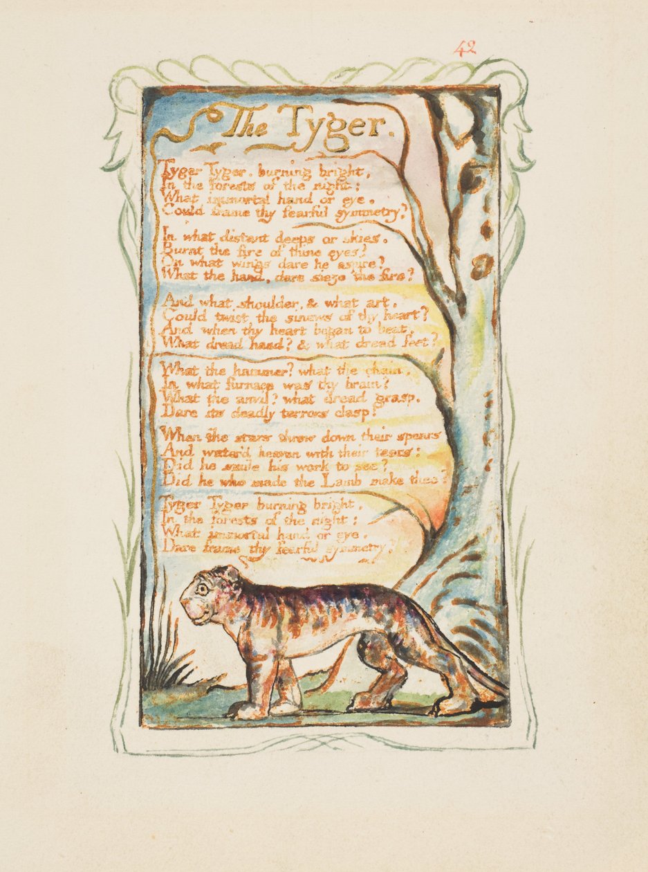 Canciones de inocencia y de experiencia: El tigre, c.1825 de William Blake
